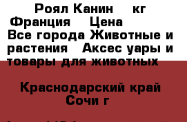  Роял Канин 20 кг Франция! › Цена ­ 3 520 - Все города Животные и растения » Аксесcуары и товары для животных   . Краснодарский край,Сочи г.